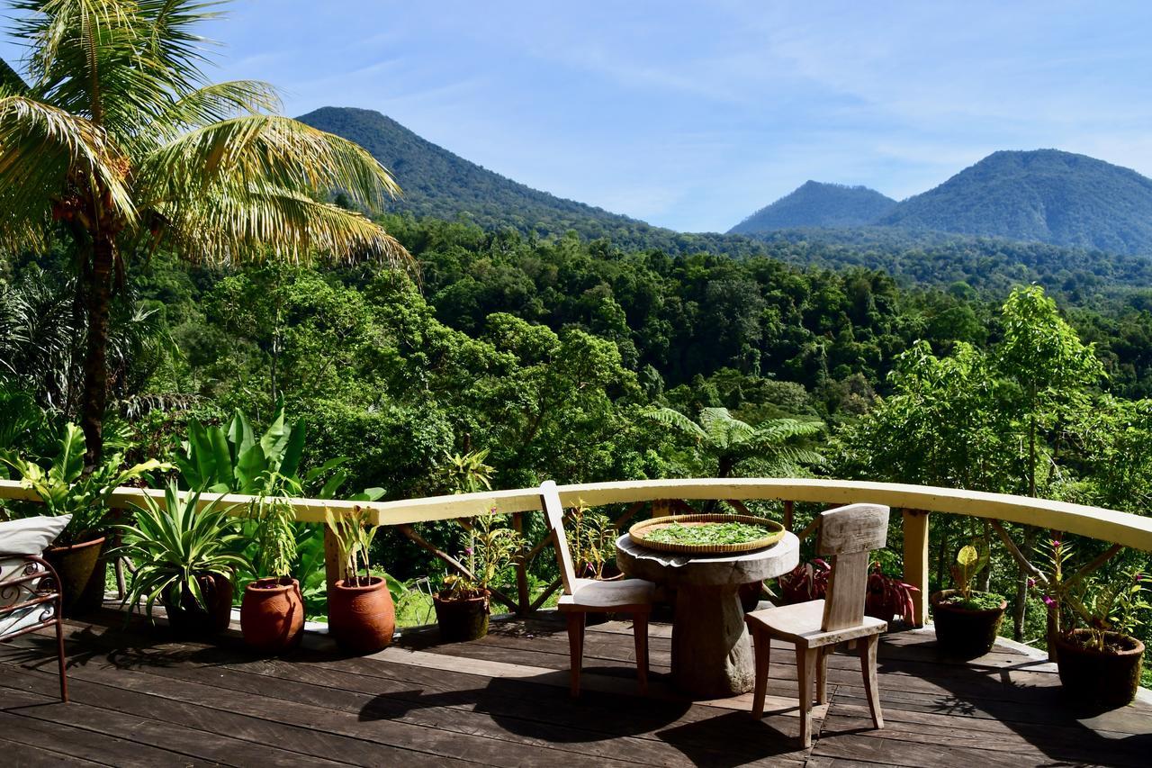 Dwan Tea Mountain Side Bed & Breakfast Jatiluwih Exterior foto