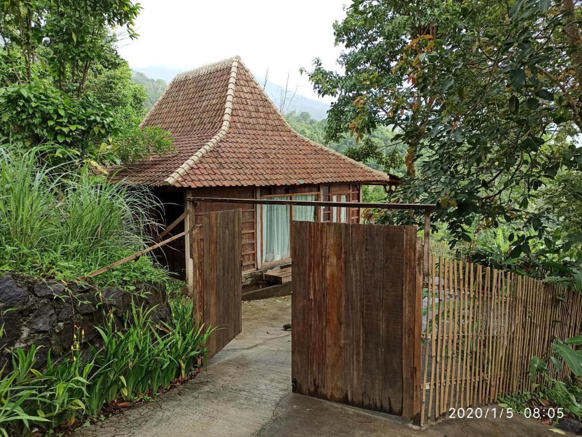 Dwan Tea Mountain Side Bed & Breakfast Jatiluwih Exterior foto